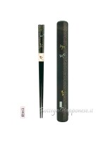Hashi chopsticks with dragonfly set case
