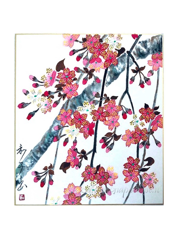 Shikishi with hand painted sakura
