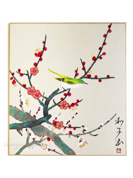 Hand painted bird plum blossom shikishi